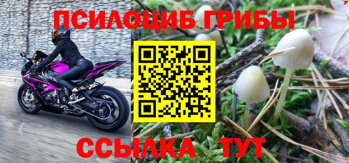 Псилоцибиновые грибы GOLDEN TEACHER  Вход с VPN  Родники 